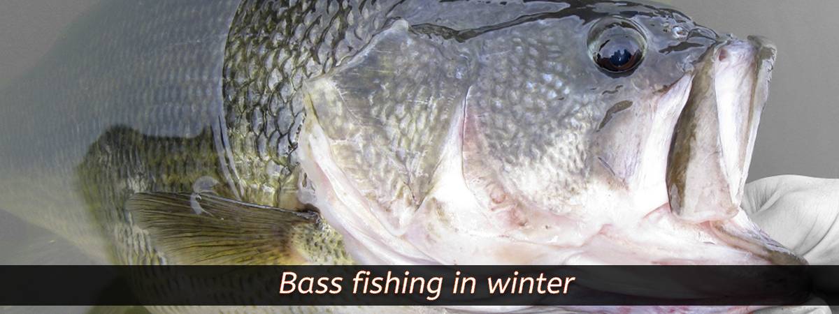 big bass fishing in winter