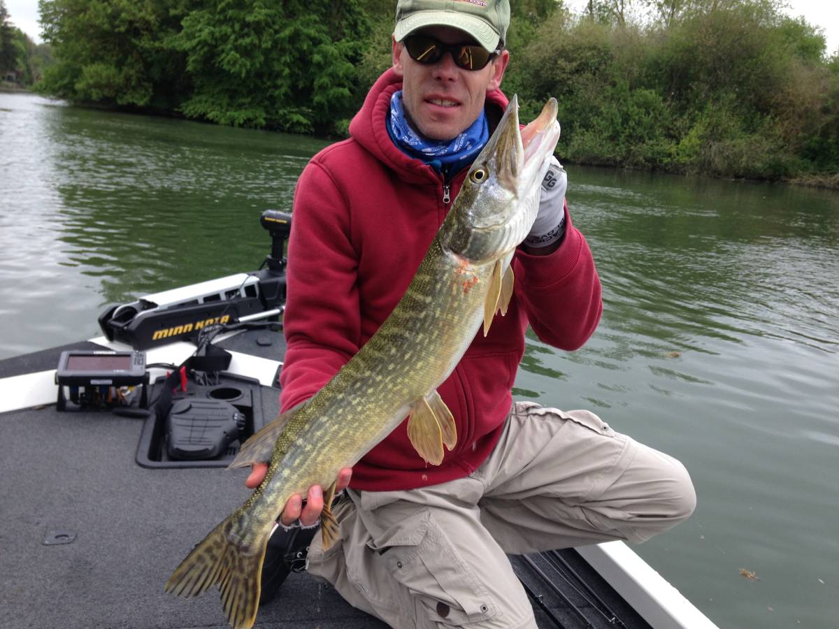 fishing with crankbaits for pike