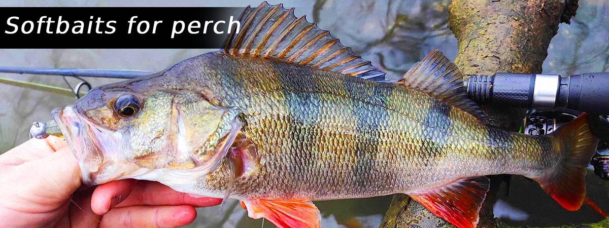 swimbait on jig head for perch