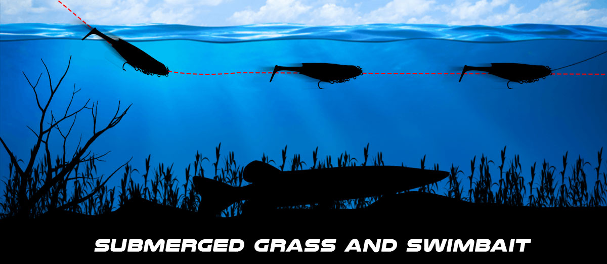 fishing in grass with swimbait
