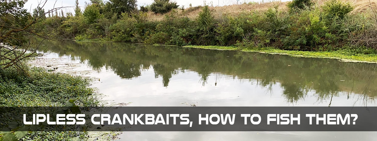 lipless crankbaits in canals