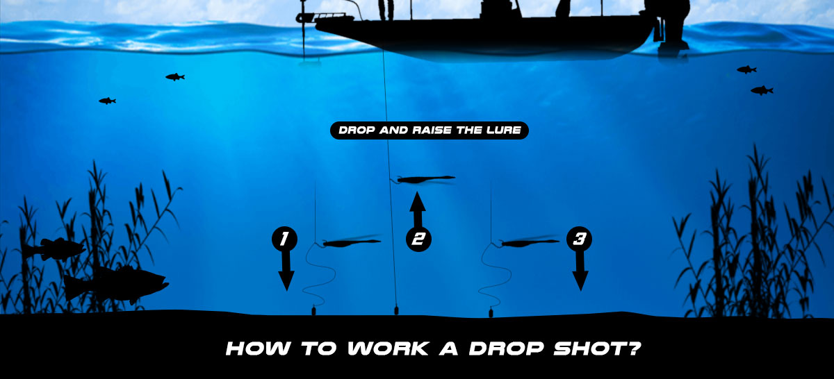 how to work drop shot rig