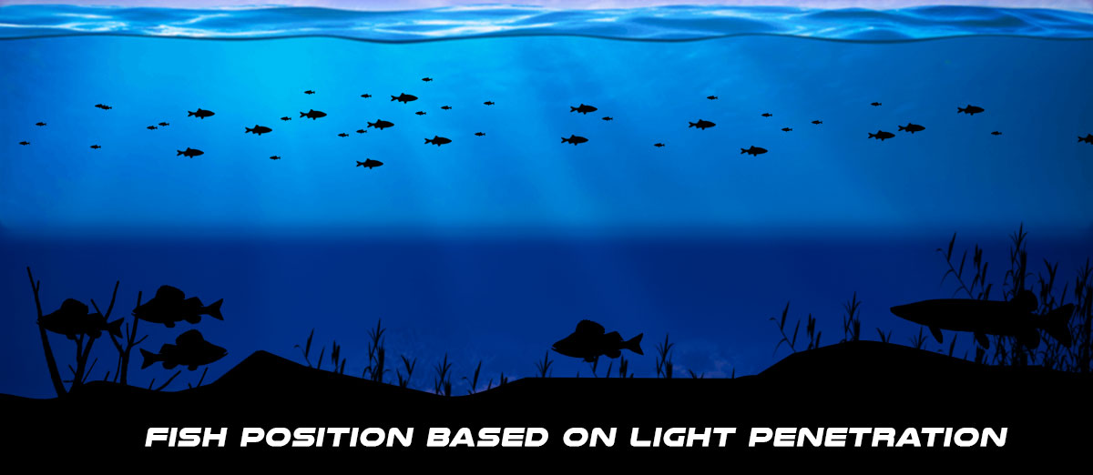 depth light penetration