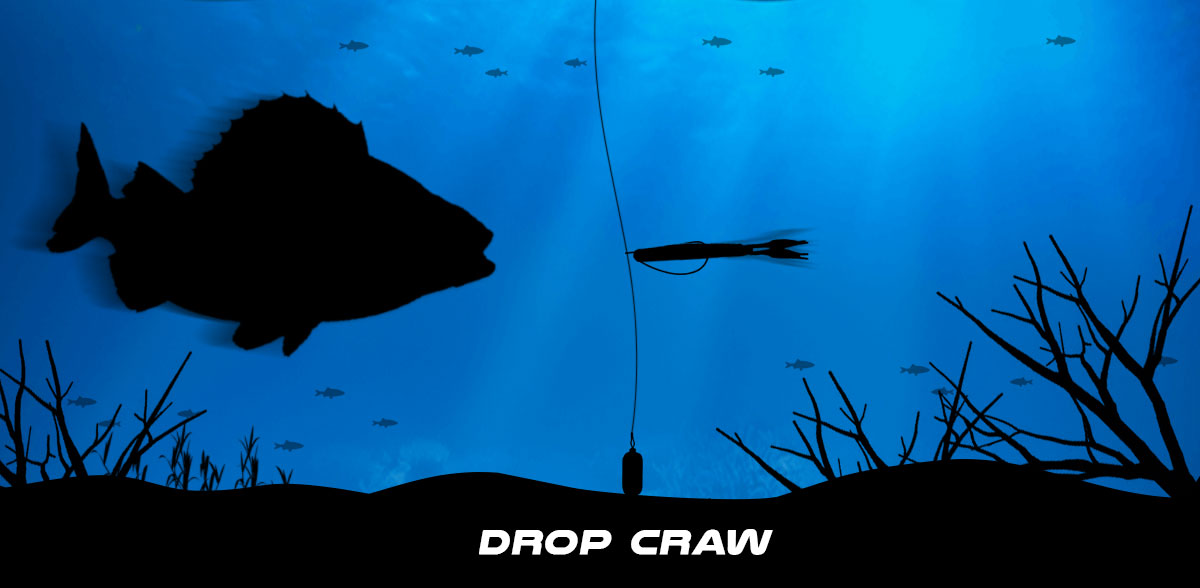crawfish lure drop shot