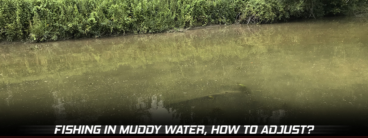 muddy water fishing