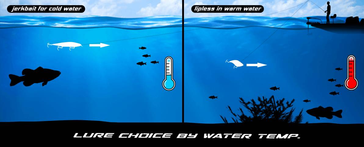 lure by water temps